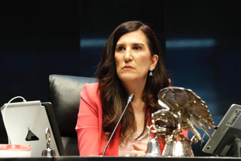 Kenia López Rabadán durante una sesión en la Cámara de Diputados