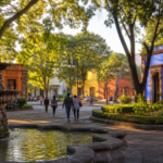 Plaza arbolada de Coyoacán con fuente y arquitectura histórica al amanecer